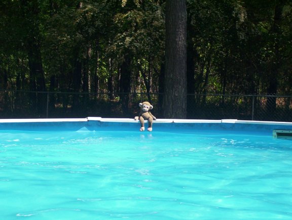 GP Goes Swimming