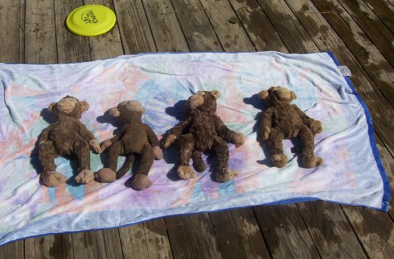 A little sunbathing to dry out our furs!