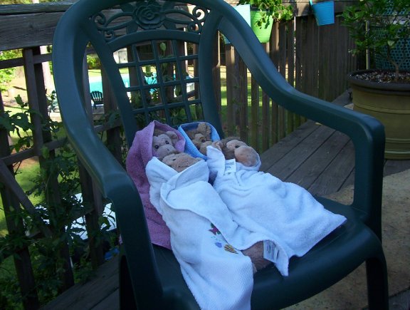And wrapped up nice and snug, waiting for our snacks!