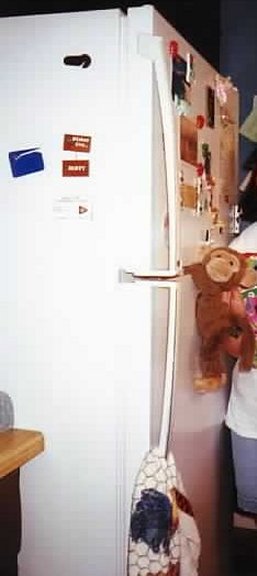 Ross Jimby climbing a fridge