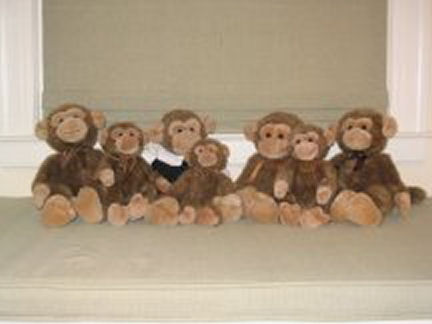 All of james Family of Jimby's