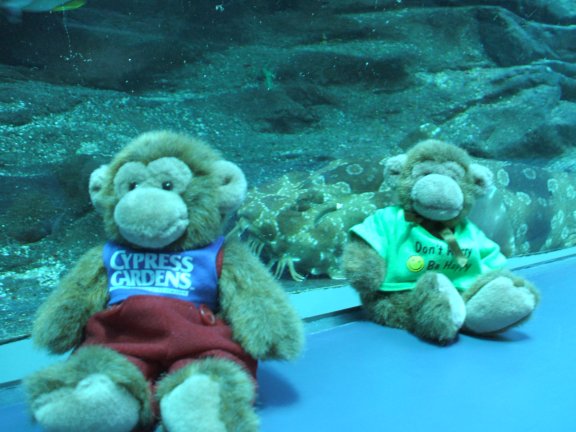 Atlanta Aquarium