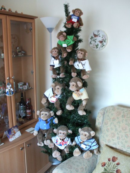 Why didn't Ann like our decorations? We had so much fun and no one fell off either