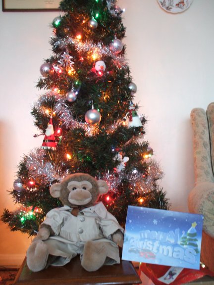 We all had to keep away once the lights were on but I did manage my own special Christmas wish to everyone