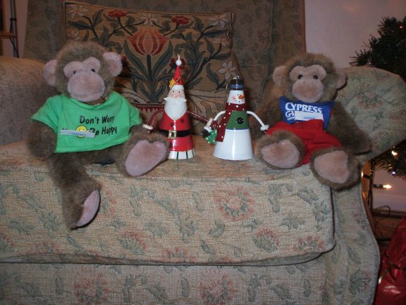 The Twins liked the Snowman and Santa but were upset when they were taken away from them to put on the tree.
