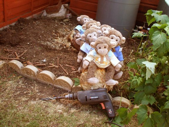 They all have a ride on the log