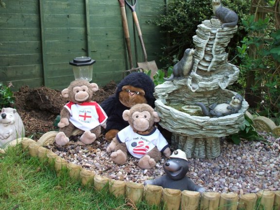 Jimby Grumpy and Jasper gardening