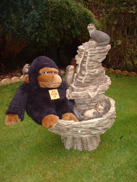 Grumpy in the fountain