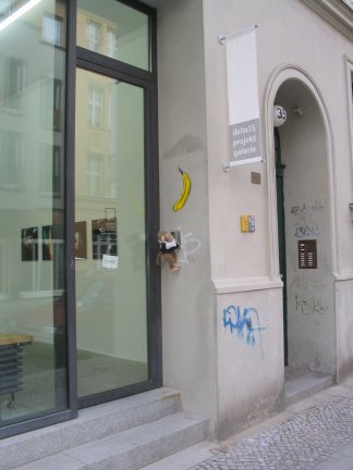 Jimby looking at the bananas on windows