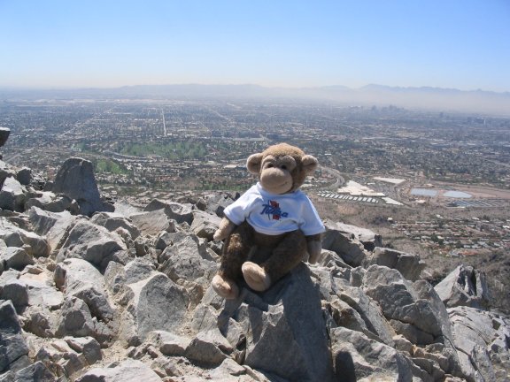 Jimby Tulsa in  Phoenix Arizona