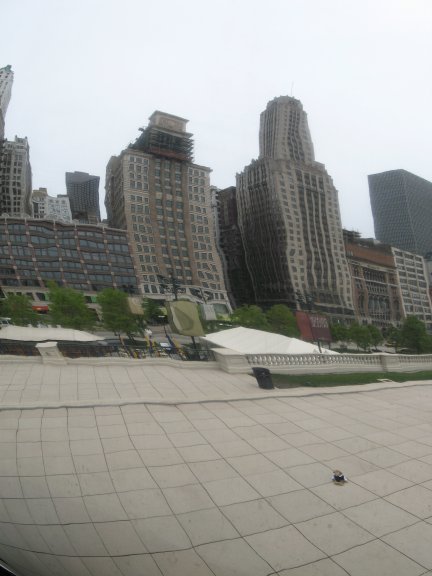The Bean