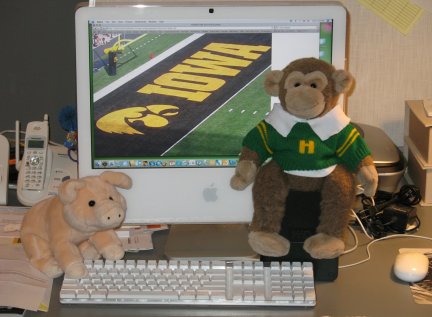 I hope you and the Mason family were not too upset. Since my human mistress is from Iowa, we had to root for the Iowa Hawkeyes. Iowa is famous for its porkers. (Not pork pies like Melton Mowbray but the living, pre-pie pigs. The jumper is from her high school: Hoover High School. As you can see, we are still working on an Apple computer. My own computer has computer swine flu or some other virus.
