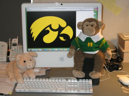 The Iowa Hawkeyes Logo