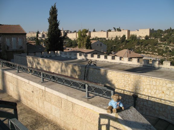 James looks out over Jerusalem