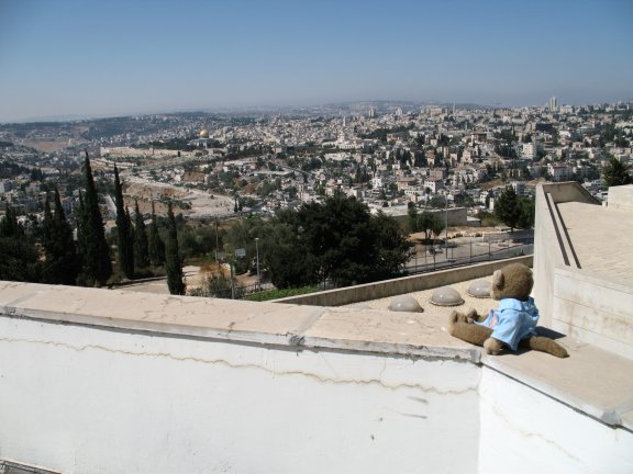 James admires the view