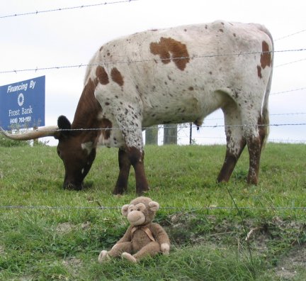 Lucky there is a wire fence