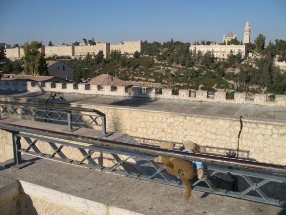 james in Jerusalem blown over by the wind