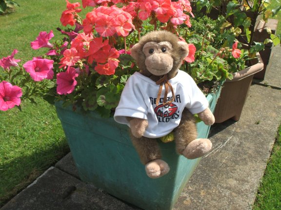 Jed inspects the flowers