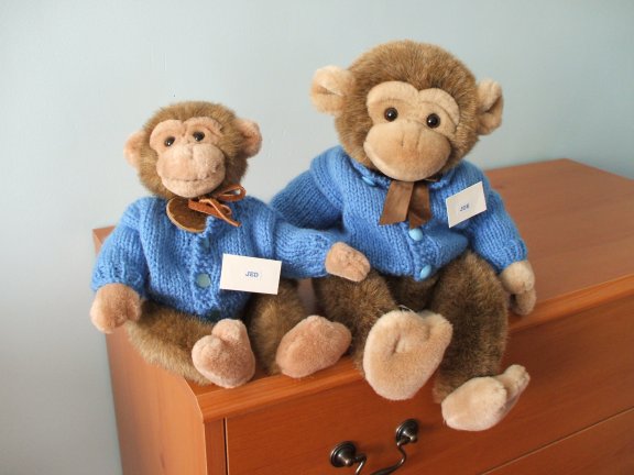 Jed and Joe in new jumpers
