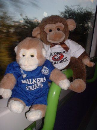 Jimby and Drowsy on Central Trains Journey back home