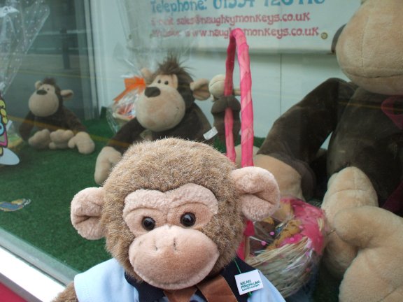 The Naughty Monkeys Snackbar