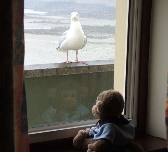 Jimby meets Sam Seagull