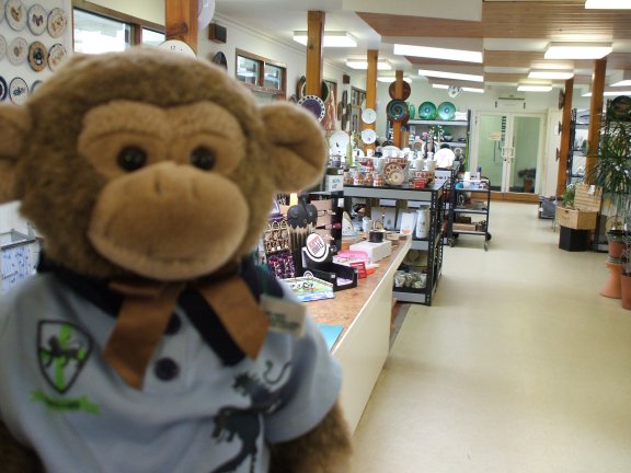 Jimby at Jersey Pottery