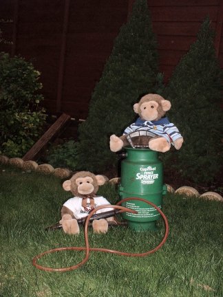 More of Jimby and J.J. Spraying fence