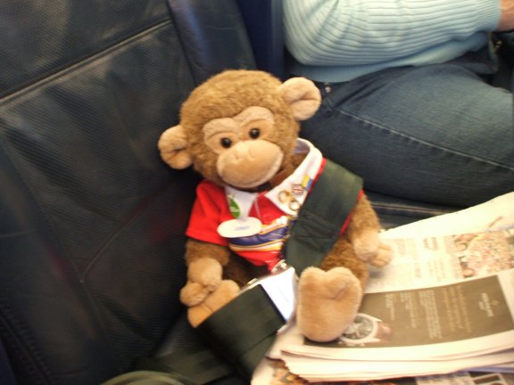 I had to wear a seat belt in case of something called turbulence. 