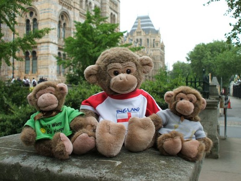 Jimby and twins at Natural History Museum