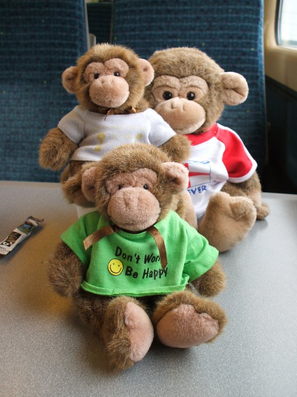 Jimby and the twins on a train