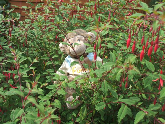 JJ hiding from the others