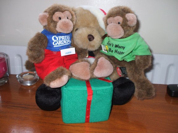 The Twins meet Santa Ted