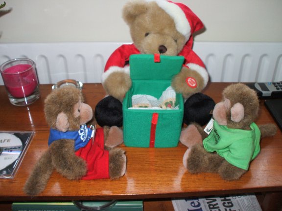 The Twins meet Santa Ted