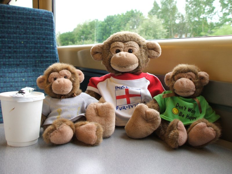 Jimby and the twins on a train
