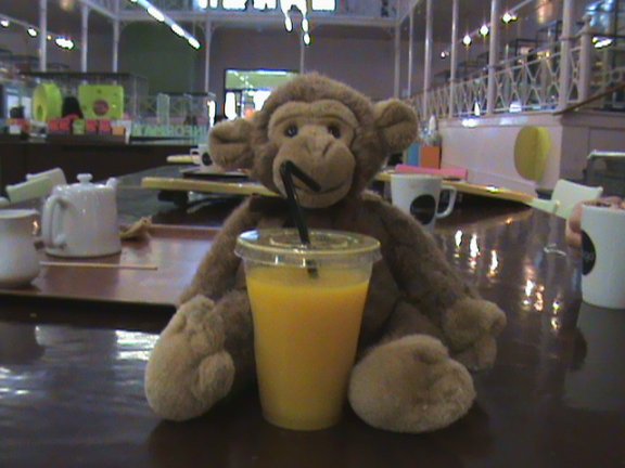 Zenny at Museum of Children